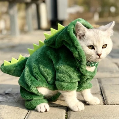 Snailhouse Hot Sale Pet Cat Clothes Funny Dinosaur Costumes Winter Warm Plush Cat Coat Small Cat Kitten Hoodie Puppy Dog Clothes